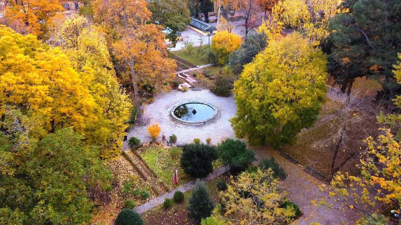 Botanical Garden
